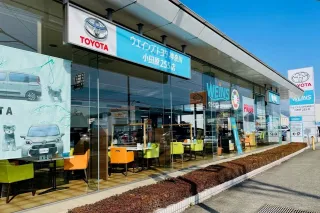 ウエインズトヨタ神奈川株式会社